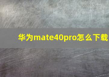 华为mate40pro怎么下载