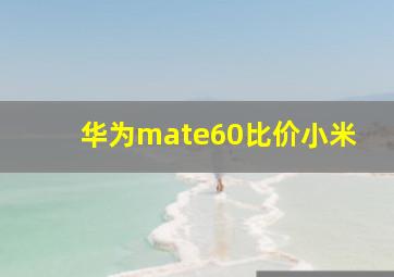 华为mate60比价小米