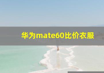 华为mate60比价衣服