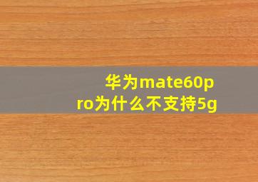 华为mate60pro为什么不支持5g