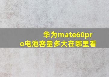 华为mate60pro电池容量多大在哪里看