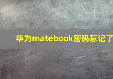 华为matebook密码忘记了