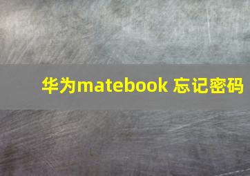 华为matebook 忘记密码