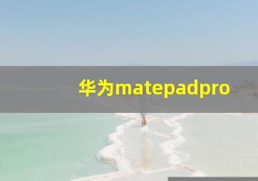 华为matepadpro