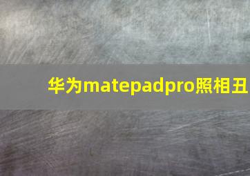 华为matepadpro照相丑