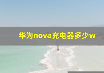 华为nova充电器多少w