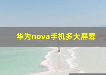 华为nova手机多大屏幕