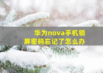 华为nova手机锁屏密码忘记了怎么办