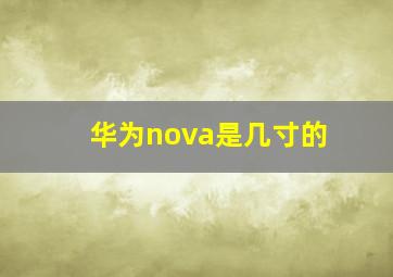 华为nova是几寸的