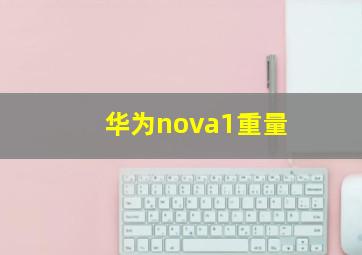 华为nova1重量