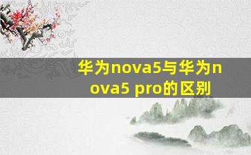 华为nova5与华为nova5 pro的区别