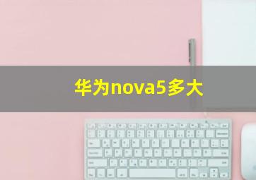 华为nova5多大