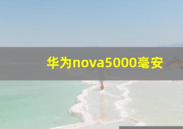 华为nova5000毫安