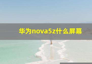 华为nova5z什么屏幕