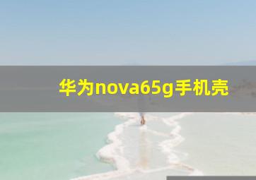 华为nova65g手机壳