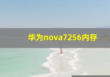 华为nova7256内存