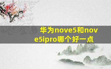 华为nove5和nove5ipro哪个好一点