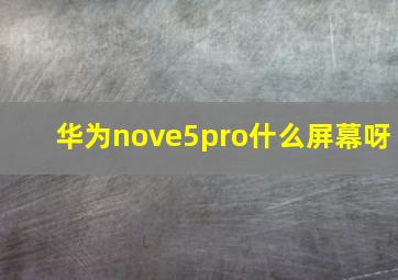 华为nove5pro什么屏幕呀