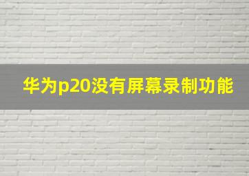 华为p20没有屏幕录制功能