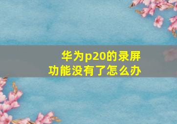 华为p20的录屏功能没有了怎么办