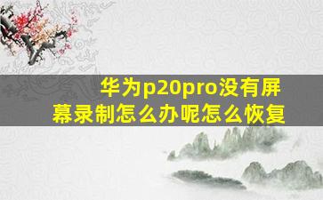 华为p20pro没有屏幕录制怎么办呢怎么恢复