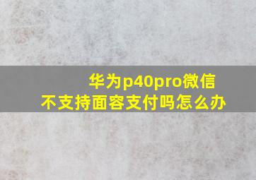 华为p40pro微信不支持面容支付吗怎么办