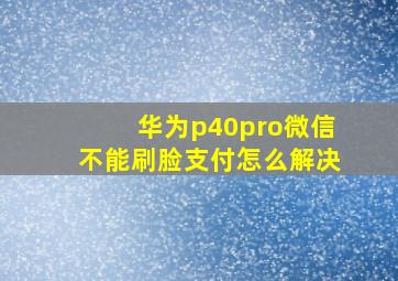 华为p40pro微信不能刷脸支付怎么解决