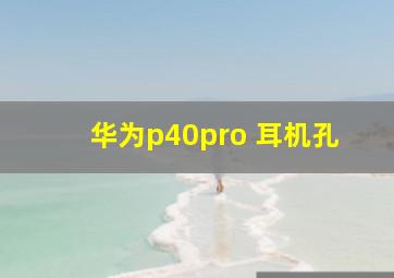 华为p40pro 耳机孔