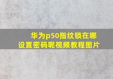 华为p50指纹锁在哪设置密码呢视频教程图片