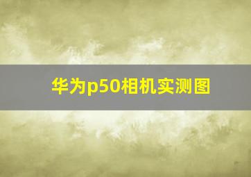 华为p50相机实测图