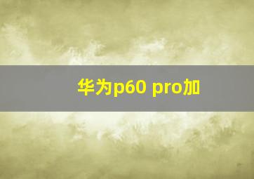 华为p60 pro加