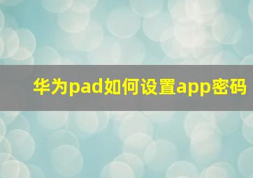 华为pad如何设置app密码