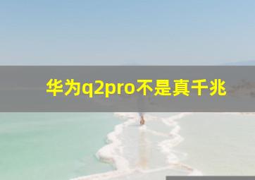 华为q2pro不是真千兆