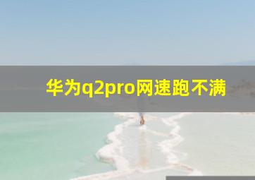 华为q2pro网速跑不满