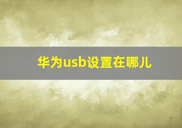 华为usb设置在哪儿