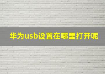 华为usb设置在哪里打开呢