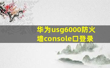 华为usg6000防火墙console口登录