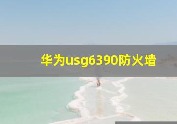 华为usg6390防火墙