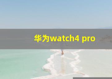 华为watch4 pro