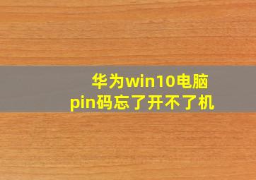 华为win10电脑pin码忘了开不了机