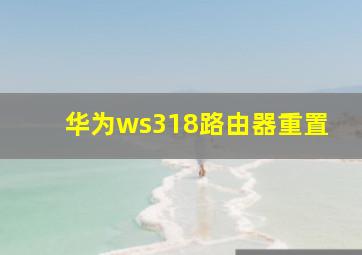 华为ws318路由器重置