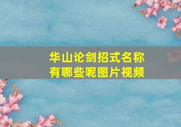 华山论剑招式名称有哪些呢图片视频