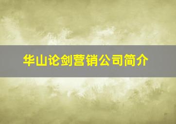 华山论剑营销公司简介