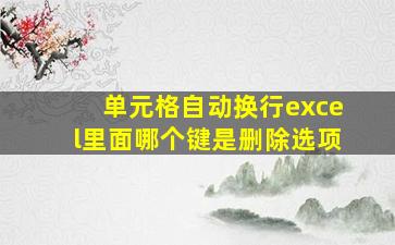 单元格自动换行excel里面哪个键是删除选项