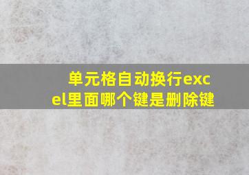 单元格自动换行excel里面哪个键是删除键