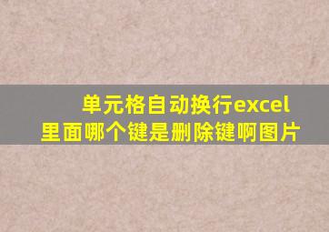 单元格自动换行excel里面哪个键是删除键啊图片