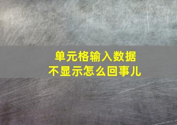 单元格输入数据不显示怎么回事儿