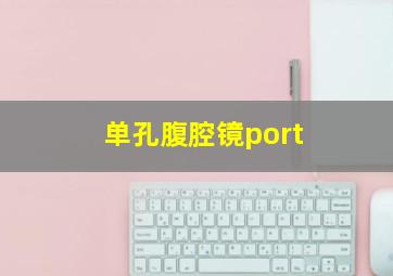 单孔腹腔镜port