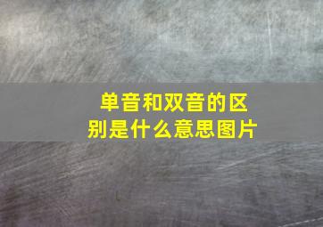 单音和双音的区别是什么意思图片