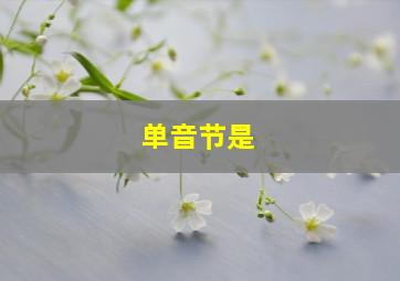 单音节是